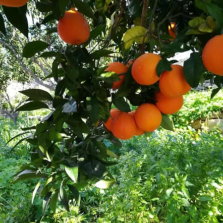 Casa vacanze Stoupa's Paradise *