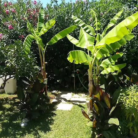 Stoupa's Paradise Σπίτι διακοπών