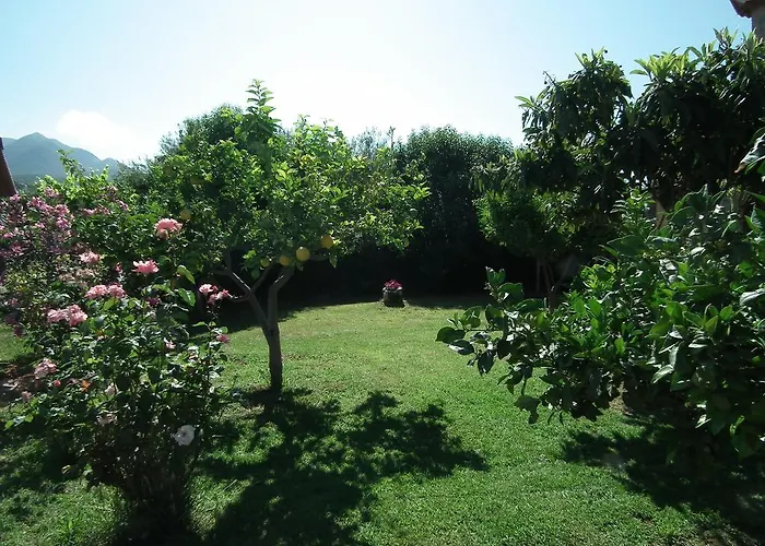 Stoupa's Paradise Semesterbostad