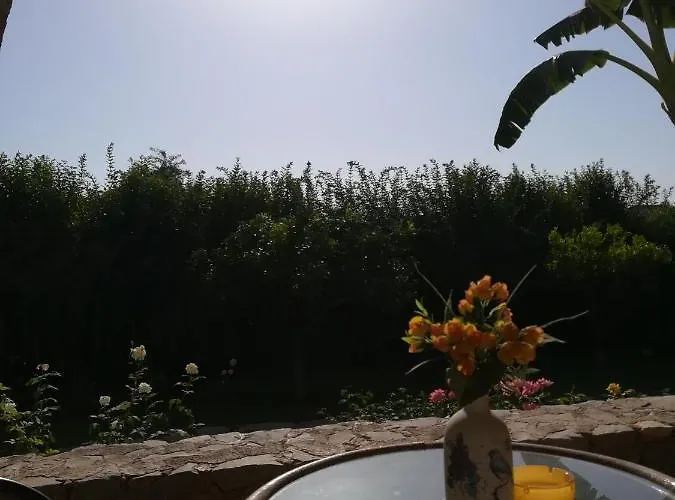 Stoupa's Paradise Semesterbostad