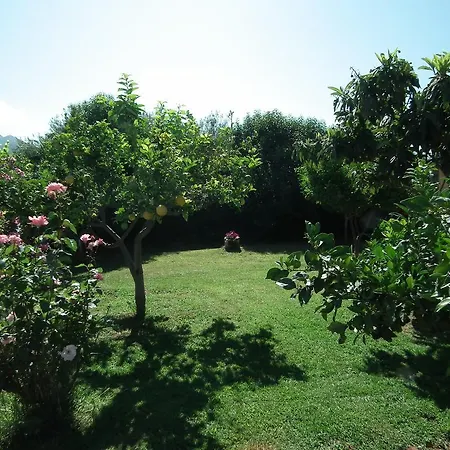 Stoupa's Paradise Holiday home