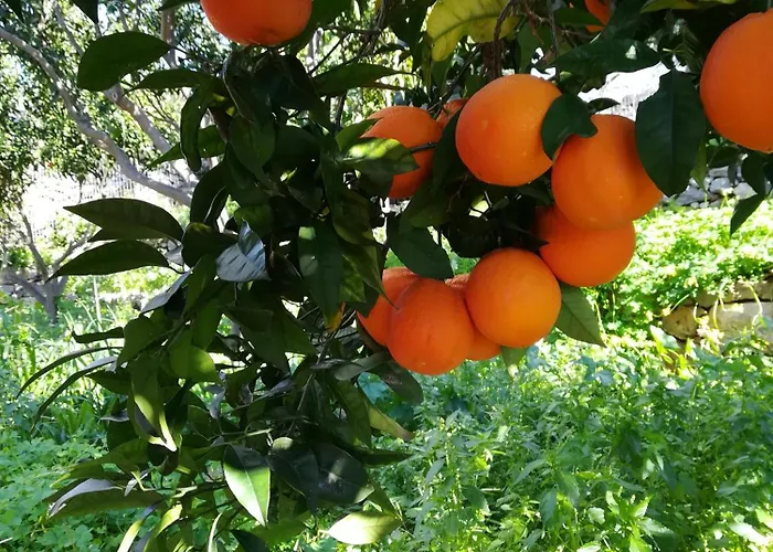 Casa de Férias Stoupa's Paradise *