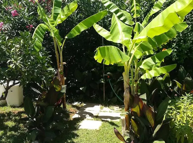 Stoupa's Paradise Casa de Férias